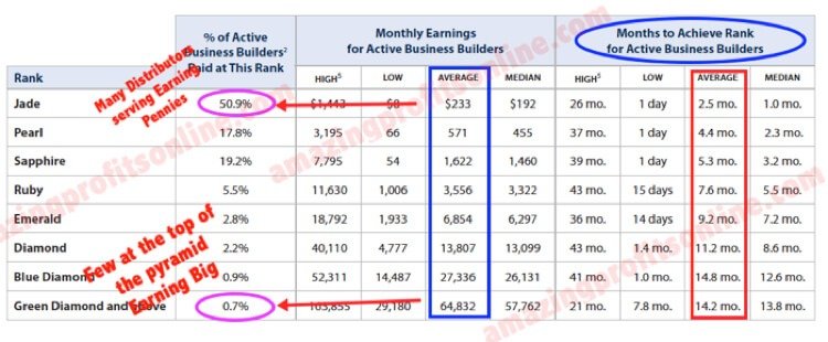 Income Disclosure Statement