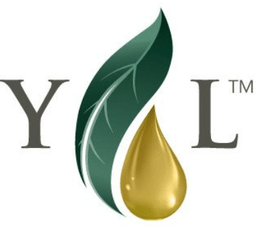 is Young Living MLM legit or a scam and pyramid scheme