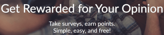 make money with branded surveys 